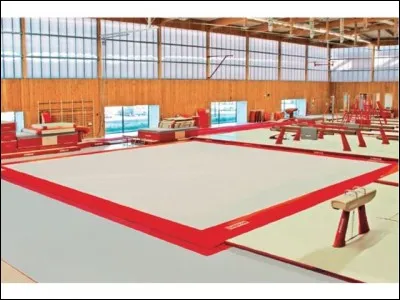 Quel est le nom du tapis sur lequel les gymnastes font leurs mouvements au sol ?