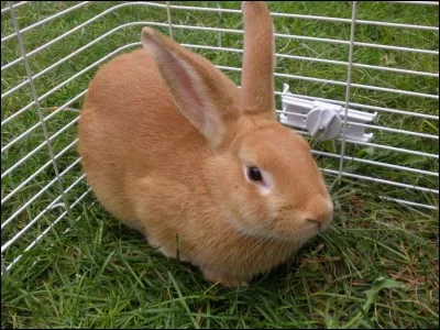 Et celui-ci, quel est-il ?