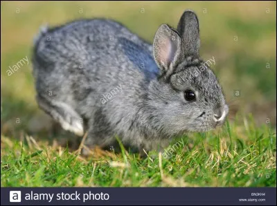 Et lui, quel est-il ?