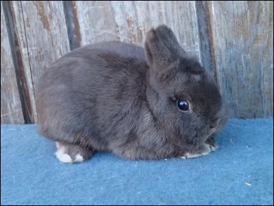 Et celui-là, quel est-il ?