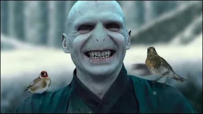 Quel est le vrai nom de Lord Voldemort ?
