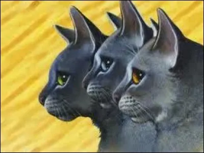 Que préférez-vous manger ?