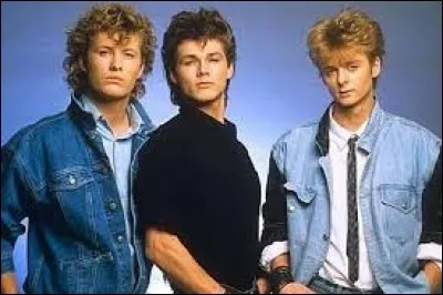 Lequel de ces groupes s'est formé en 1982 ?