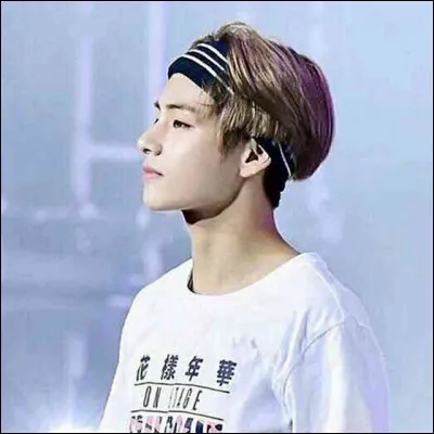 Qui lui a conseill&eacute; de devenir chanteur ?