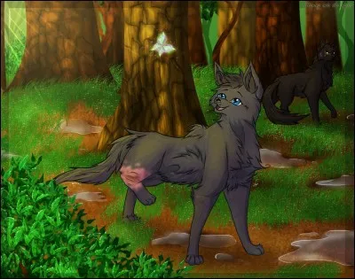 Tu deviens guérisseur/guérisseuse.