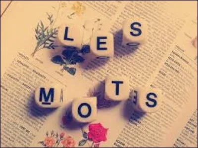 Qui chantait "Des mots faciles, des mots fragiles, c'était trop beau" ?