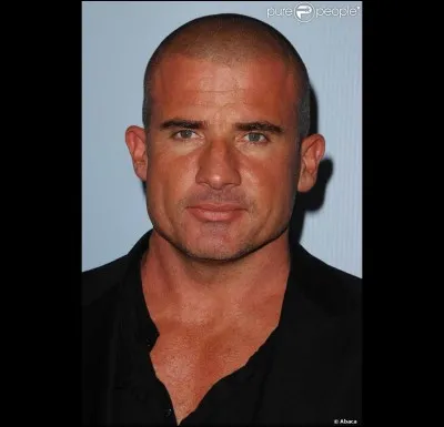 Qui est le fils de Lincoln Burrows ?