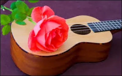 À quel interprète appartient l'album "Fragile" ?