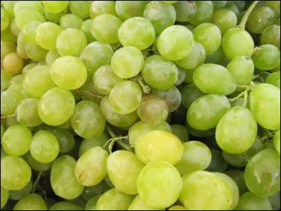 Qui a écrit "Les Raisins de la colère" ?