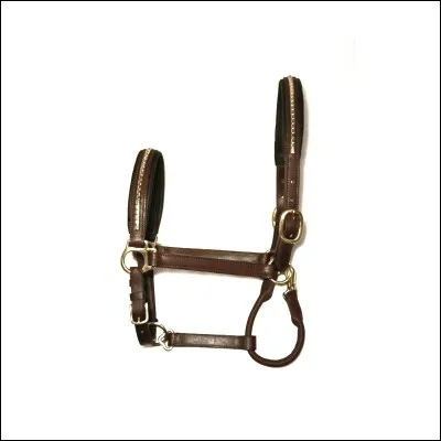 Comment s'appelle ceci ?