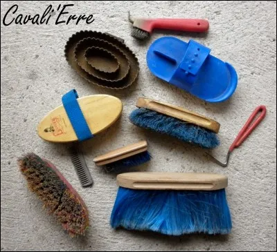 Quel est le terme utilisé pour nettoyer son cheval ou poney ?