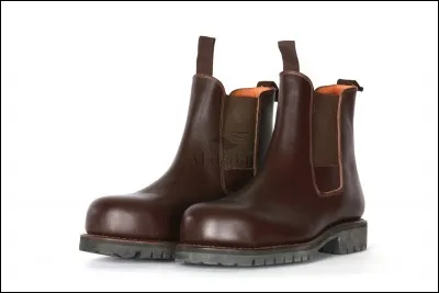 Comment s'appelle les chaussures représentées sur l'image ?