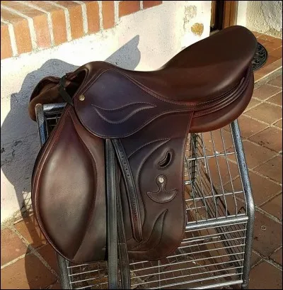 Quelle partie n'est pas dans la selle ?