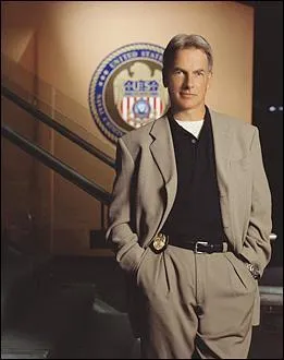 Depuis 2003, Mark Harmon joue dans quelle srie ?