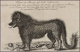 Quiz Animaux