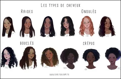 Tu as les cheveux :