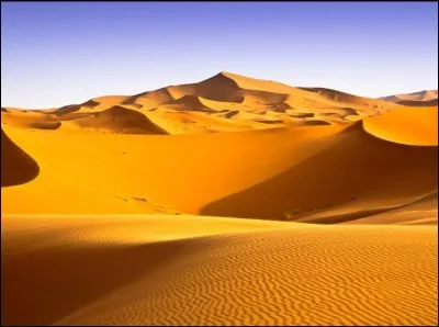 Que vas-tu faire de tes vacances ?