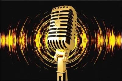 Quel est son chanteur ou sa chanteuse préféré(e) ? (normalement)