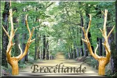 Célèbres pour ses légendes arthuriennes, à quelle forêt la Forêt de Brocéliande est-elle couramment identifiée ?