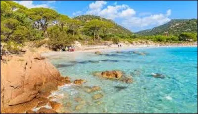 D'Albert Camus : 
"Au milieu de l'hiver, j'ai découvert en moi un ... été".