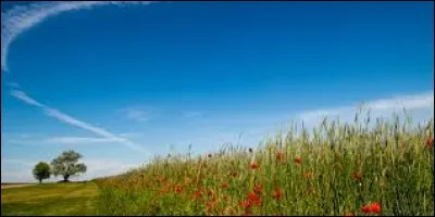De Robert Orben : 
"Être en ... , c'est n'avoir rien à faire et avoir toute la journée pour le faire".