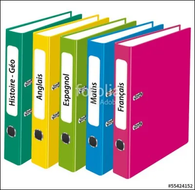 Dans quelle matière scolaire excelles-tu le plus ?