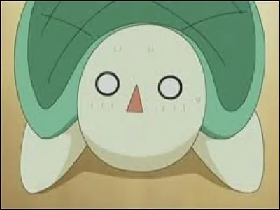 Comment s'appelle la tortue de Seiji ?