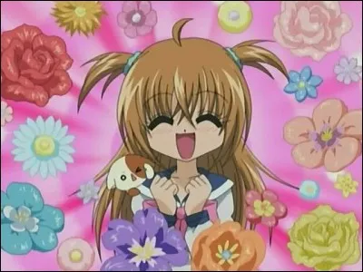 Comment s'appelle le chat de Kilari ?