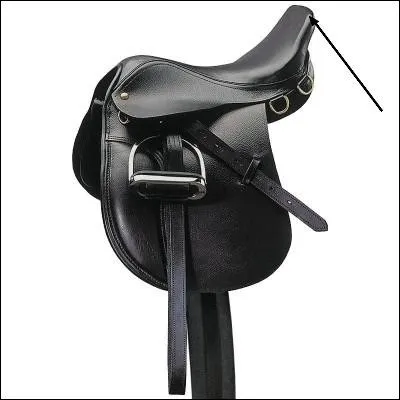 Comment s'appelle cette partie de la selle ?