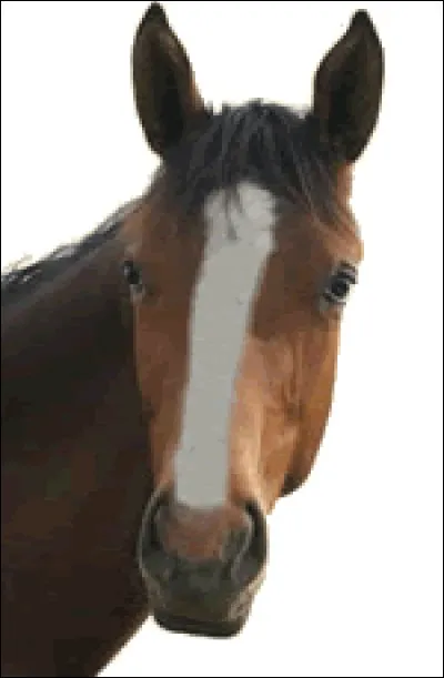 Comment s'appelle cette marque ?