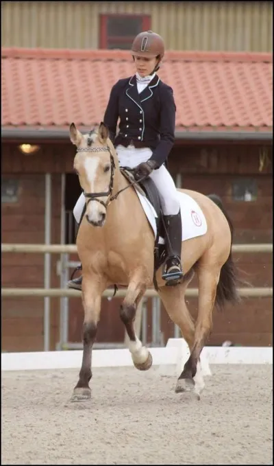 Comment faut-il faire pour que le cheval fasse des cessions à la jambe à main droite ?