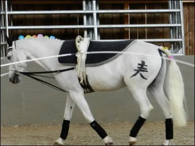 Quelles parties du filet ou de la bride doit-on défaire ou accrocher ?