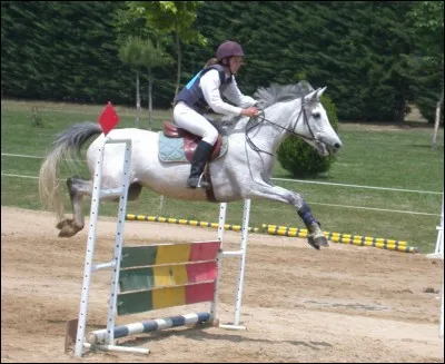 Comment faut-il se tenir à cheval ?