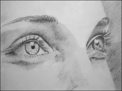 Quel chanteur belge chante 'Dans les yeux de ma mère' ?