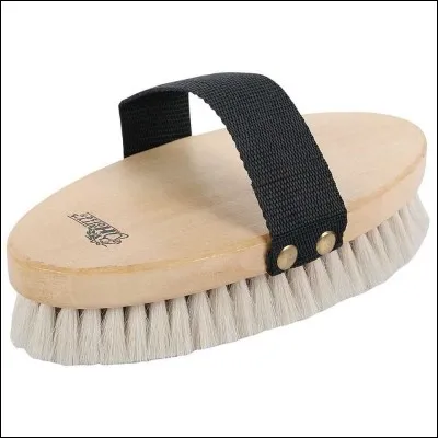 Quelle est cette brosse ?