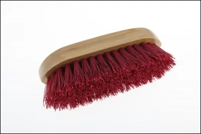 Quelle est cette brosse ?