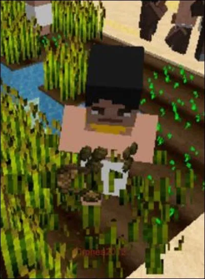 Quelle profession pr&eacute;f&egrave;res-tu ?