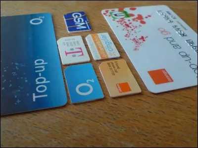 Qui se couche avec les chiens se lève avec des... (complétez)