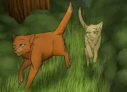 Test Quel chat es-tu dans la famille d'Étoile de Feu ?