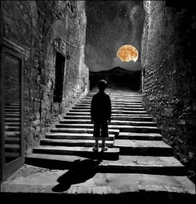 À qui appartiennent les paroles "Je marche dans la ville, tout seul et anonyme" ?