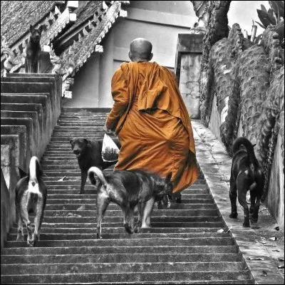 Qui chantait "Mais je suis dans une belle ville c'est déjà ça..." ?