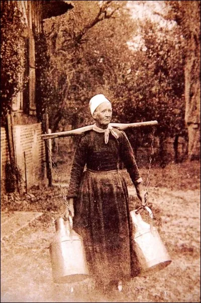 Que trouvez-vous dans un potage "Fermière"?