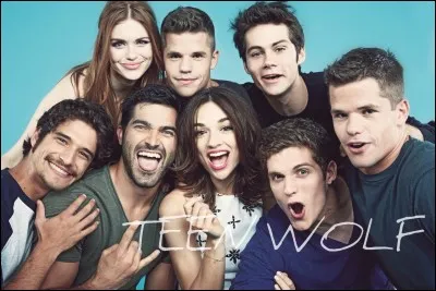 Combien de saisons et d'épisodes y a-t-il dans "Teen Wolf" ?