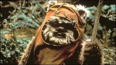 Quel Ewok retrouve Leïa sur Endor ?
