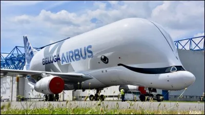 Quelle est la base de cette étrange créature ? (Nouveau Beluga XL)