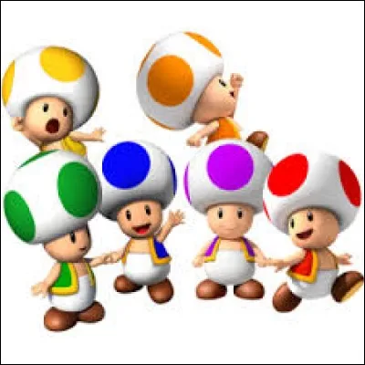 Quelle est la forme du vaisseau des Toad ?