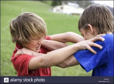 Une dispute éclate entre tes amis :