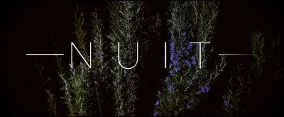 Quelle est la nationalité de la nuit d'après le titre d'un film de François Truffaut ?