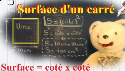 Mathématiques - Synonyme de superficie :
