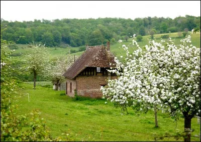 Si tu marches sans but dans la campagne, tu...